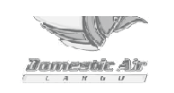Clientes Veritas | Domestic Air